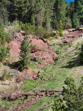Un'immagine del fossato Hauserlahn prima dell'avvio dei lavori di risanamento (Foto: ASP/Ufficio Sistemazione bacini montani Nord)