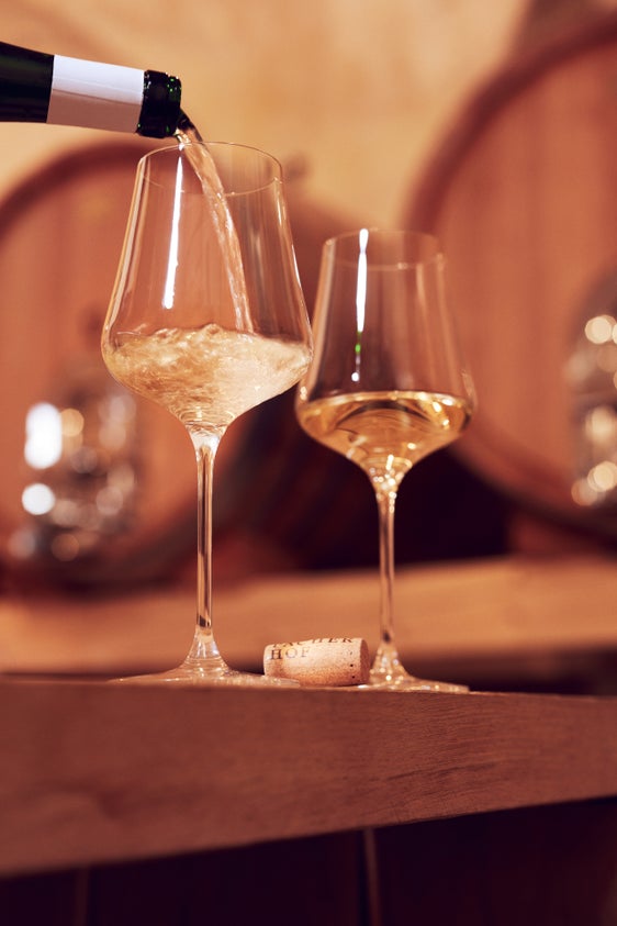 Rund eine Million Euro stehen an europäischen Unterstützungsmaßnahmen für Südtirols Weinwirtschaft zur Verfügung. (Foto: LPA/IDM)