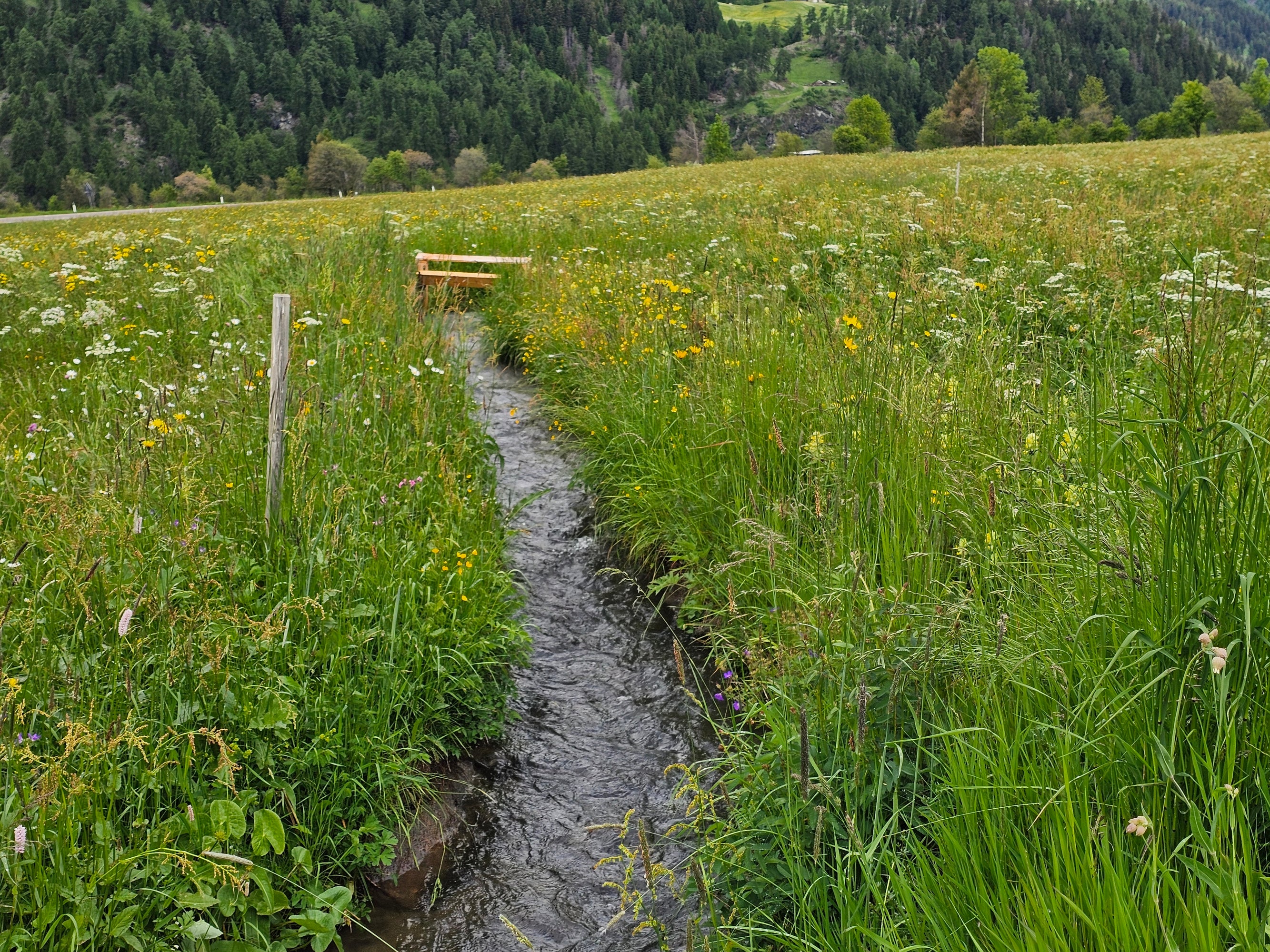 Welche Herausforderungen und Vorteile bringt die traditionelle Waalbewässerung mit sich? Diese und andere Fragen standen im Mittelpunkt der Wanderung auf der Malser Haide am 3. Juni, die sich der landwirtschaftlichen Praxis und den wiesenbrütenden Vogelarten widmete. (Foto: Heimatpflegeverband Südtirol)