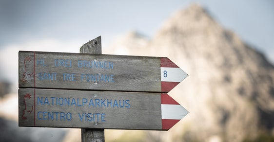 Der Südtiroler Anteil des Nationalparks Stilfserjoch umfasst 53.495 Hektar Fläche und fünf Besucherzentren. Einblicke in Flora und Fauna gibt es bei vielen geführten Exkursionen den ganzen Sommer über.  (Foto: IDM Südtirol/Klaus Huber)