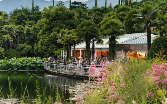 Das umgebaute Palmencafé in den Gärten von Schloss Trautmannsdorf. (Foto: LPA/Abteilung Informatik)