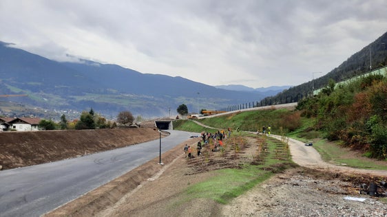 Für die verschieden Flächen bei der Umfahrung Vahrn gibt es ein eigenes Bepflanzungskonzept. Die Kinder der Grundschule haben einen Teil der Fläche zwischen Radweg und Umfahrungsstraße bepflanzt. (Foto: LPA/Florian Knollseisen)
