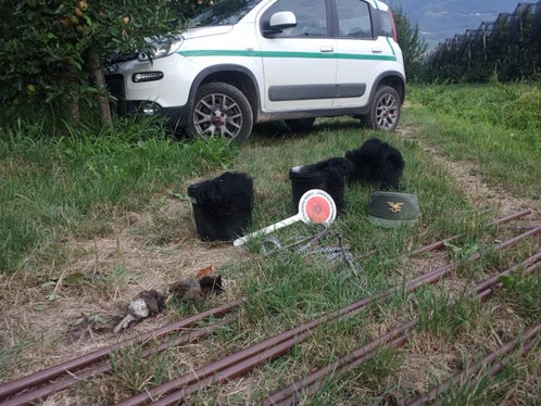 Der Landesforstkorps konnte die Täter nicht mehr ausforschen, sondern nur noch die Ausrüstung beschlagnahmen und sechs von 21 Jungdrosseln retten. (Foto: LPA/Forststation Kaltern)