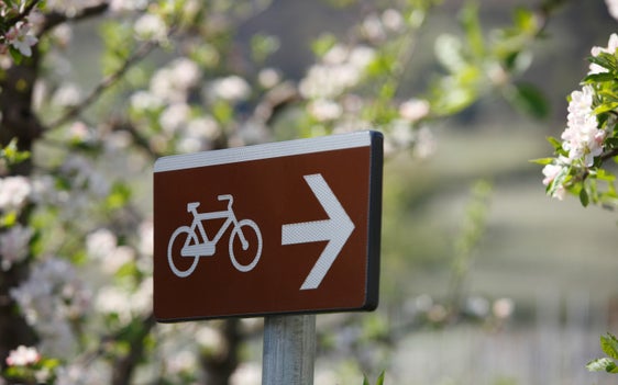 Die Euregio will die Fahrradmobilität in den drei Ländern durch die Aufwertung von Radrouten stärken. (Foto: IDM/Blickle)