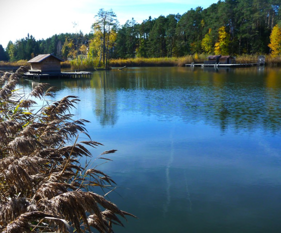 il 27 settembre a Siusi un convegno in occasione del 50° compleanno del Parco naturale Sciliar-Catinaccio. (Foto: USP/Enrico Brutti)