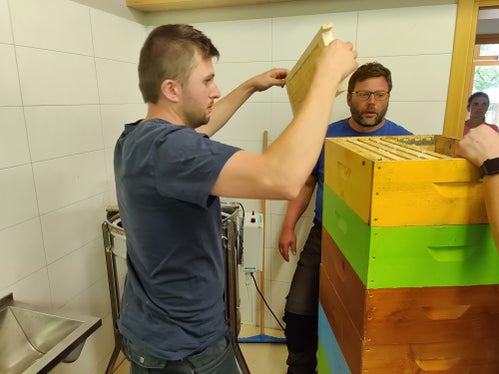 Come affrontare le diverse attività dell'apicoltura durante l'anno: è uno degli aspetti che i partecipanti imparano nei corsi di base. (Foto: Istituto tecnico Laimburg/Klaus Blasbichler)