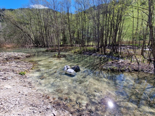 Der naturnah erweiterte Teich am Toffringbach ist eine ökologische Aufwertung.
(Foto: LPA/Landesamt für Wildbach- und Lawinenverbauung Nord in der Agentur für Bevölkerungsschutz)