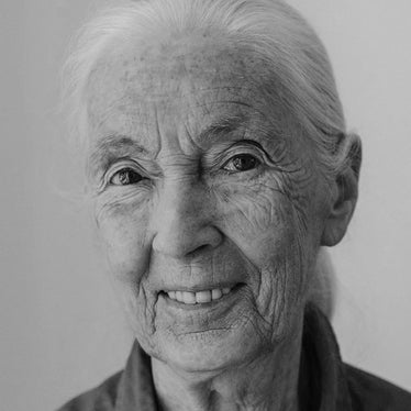 Jane Goodall, UN-Friedensbotschafterin und weltweit bekannt für ihre Pionierarbeit bei der Erforschung der wilden Schimpansen (Foto: Johanna Lohr)  