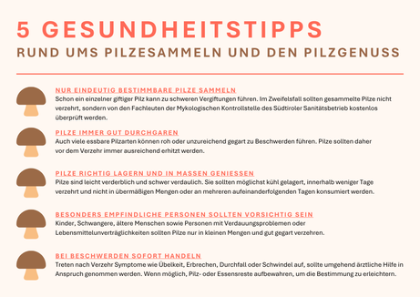 Tipps zum Pilzesammeln und zum Pilzgenuss (Grafik: LPA/Viktoria Huber)
