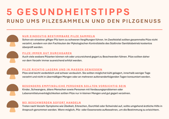 Tipps zum Pilzesammeln und zum Pilzgenuss (Grafik: LPA/Viktoria Huber)