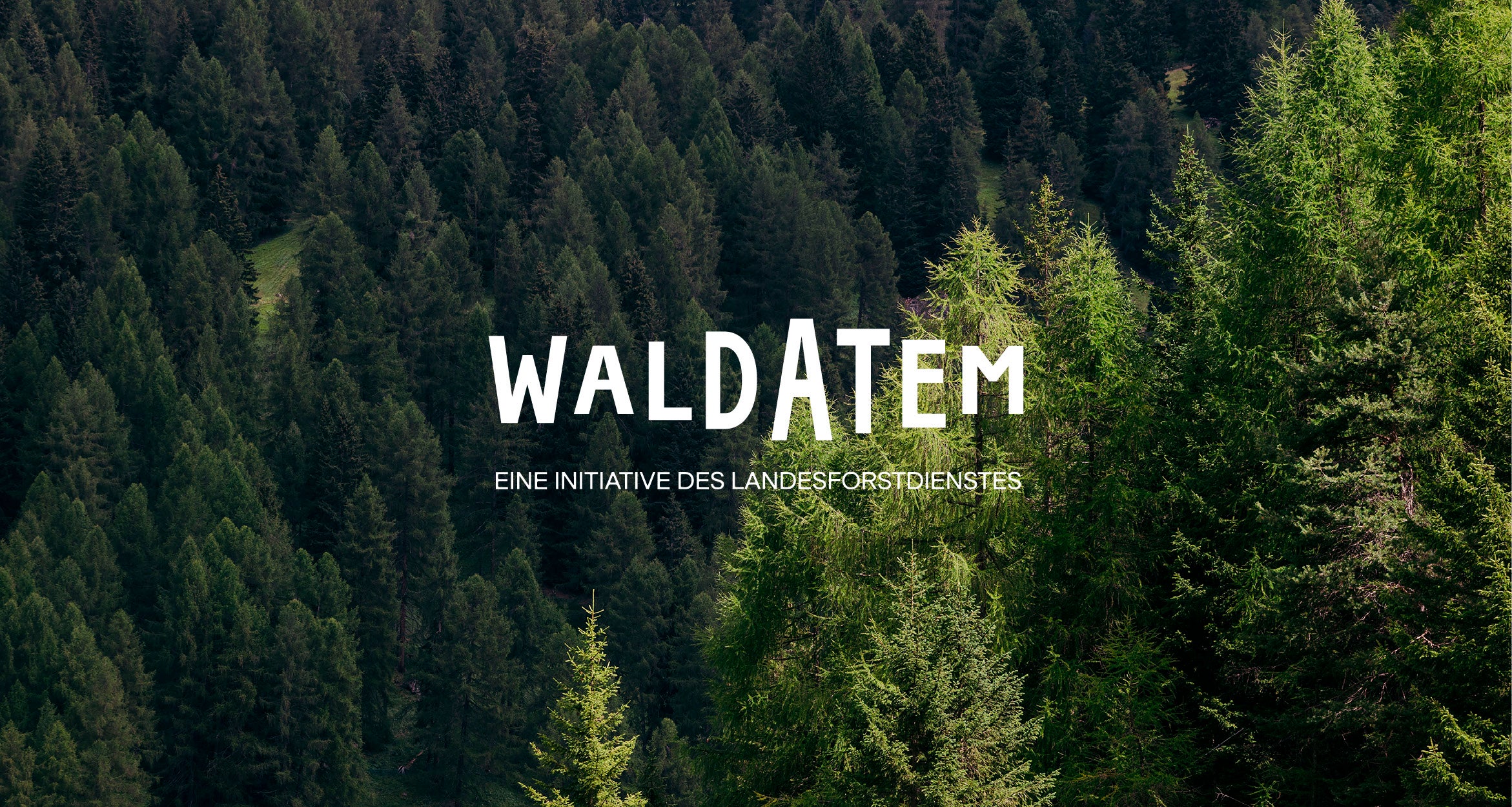 [external Link]: Waldatem