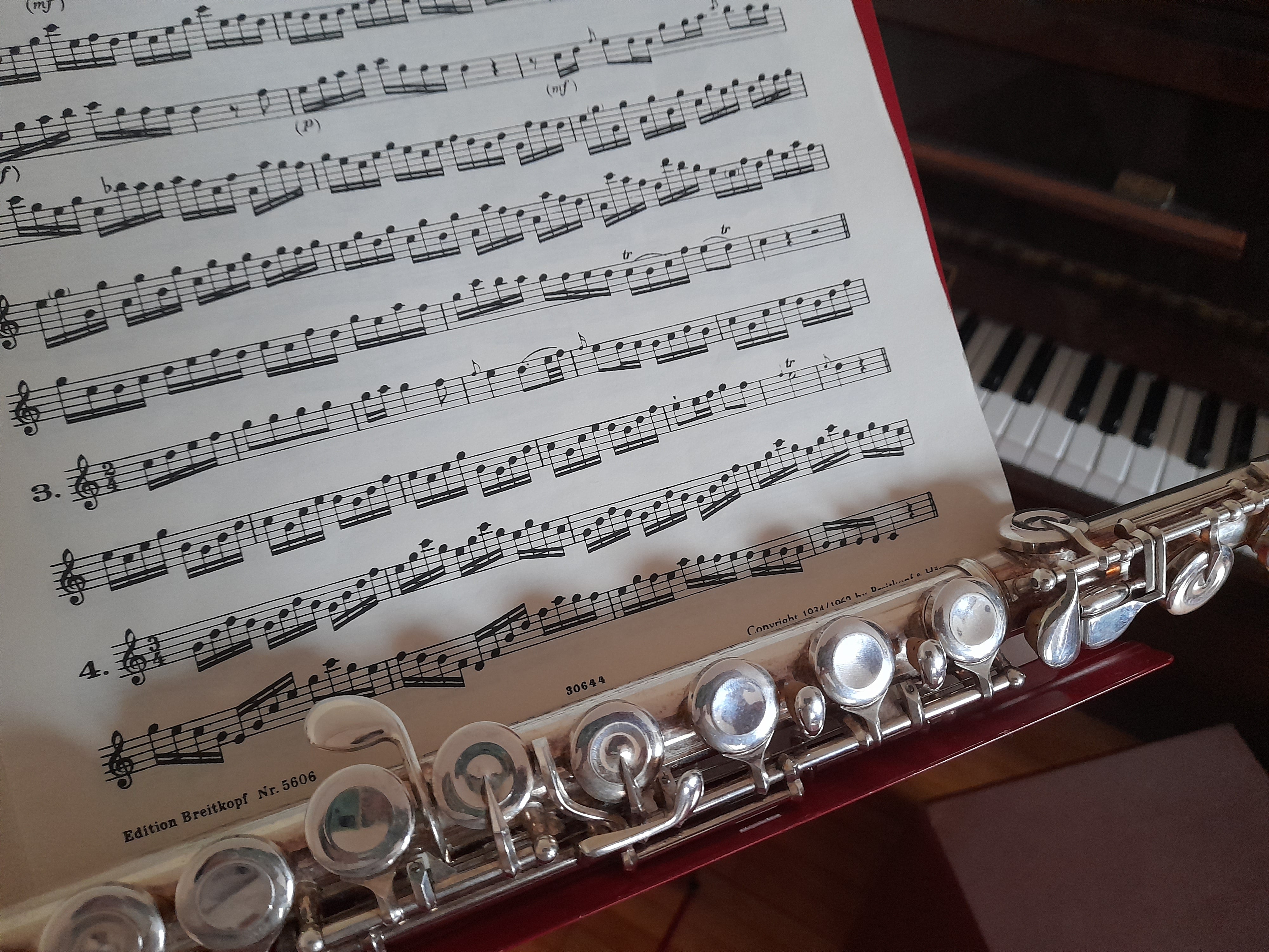 Im Oktober beginnen Ausbildungslehrgänge zum Erwerb der Lehrbefähigung für die Wettbewerbsklassen A-55 Musikinstrument – Oberschule und A-56 Musikinstrument – Mittelschule am Konservatorium, der Hochschule für Musik Claudio Monteverdi in Bozen. (Foto: LPA/Maja Clara)