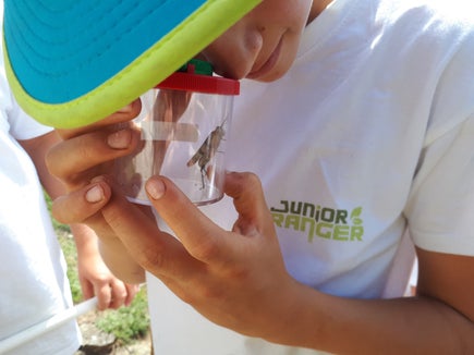 Nel corso della formazione degli Junior Ranger anche le piccole cose apparentemente insignificanti vengono passate al microscopio (Foto: AVS)