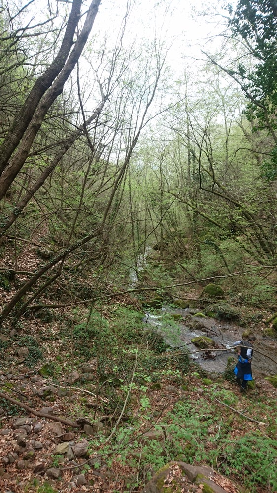 In diesen Tagen hat das Landesamt für Wildbachverbauung Nord damit begonnen, einen Zufahrtsweg zum Fagenbach anzulegen, der bisher nur über Gestrüpp erreichbar war. (Foto: LPA/Landesamt für Wildbach- und Lawinenverbauung Nord)