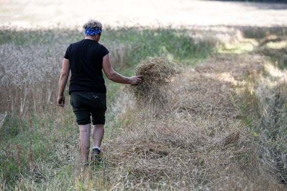 Discussione in corso per la Politica Agricola Comunitaria 2023-27 (Foto: IDM/Alex Filz)