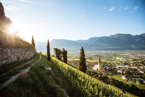 L'esame di abilitazione professionale per accompagnatori turistici sarà indetto a breve, la Giunta provinciale ha stabilito che le conoscenze linguistiche sono un requisito fondamentale (Foto: IDM Südtirol-Alto Adige/Benjamin Pfitscher)