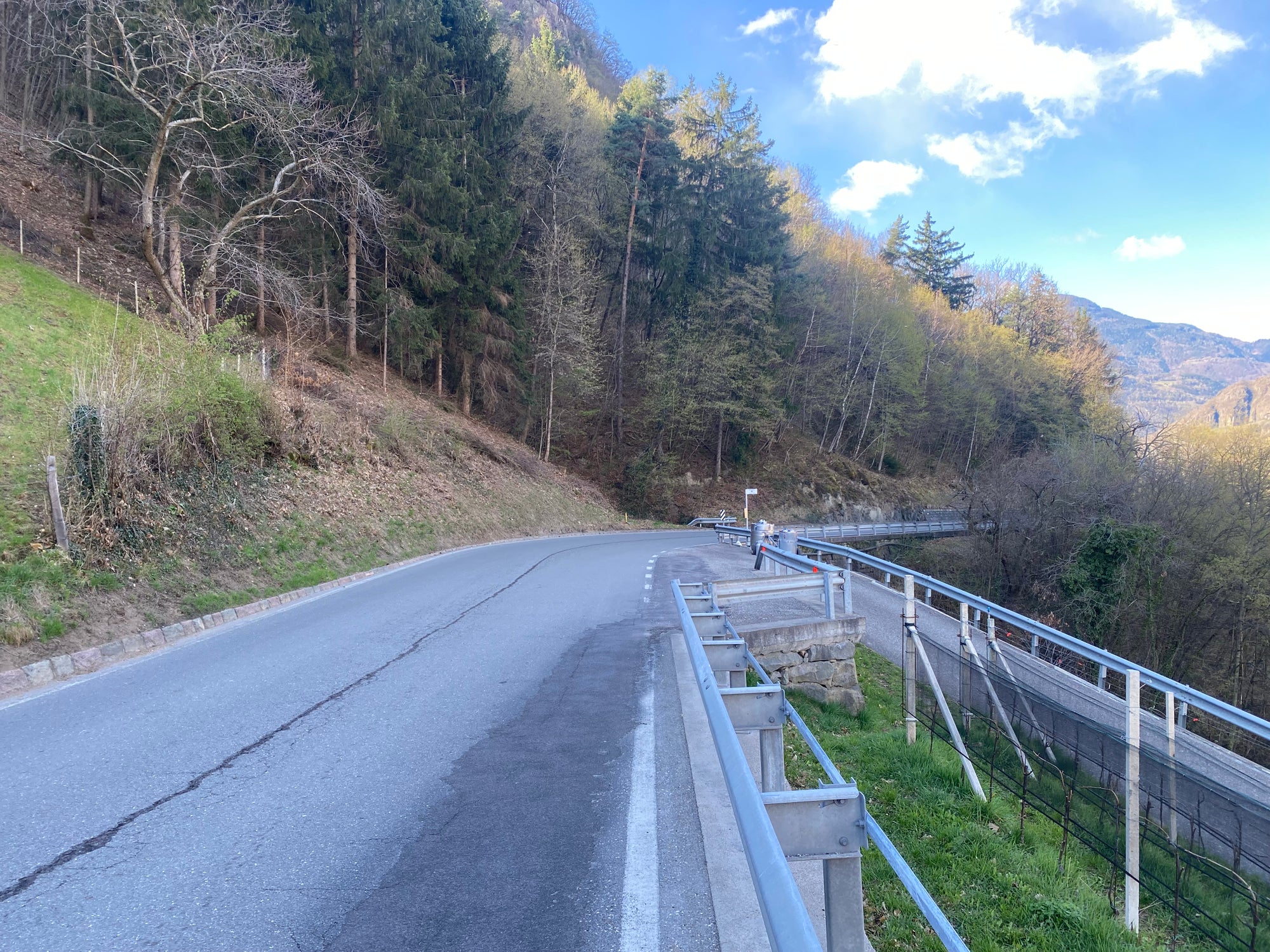 Il 4 settembre, la Giunta provinciale ha approvato l’adeguamento del costo complessivo del secondo stralcio dell’opera di sistemazione della SP 24, che interessa il tratto compreso tra il km 1,950 e il km 3,400. (Foto: USP/Dipartimento Infrastrutture e Mobilità)