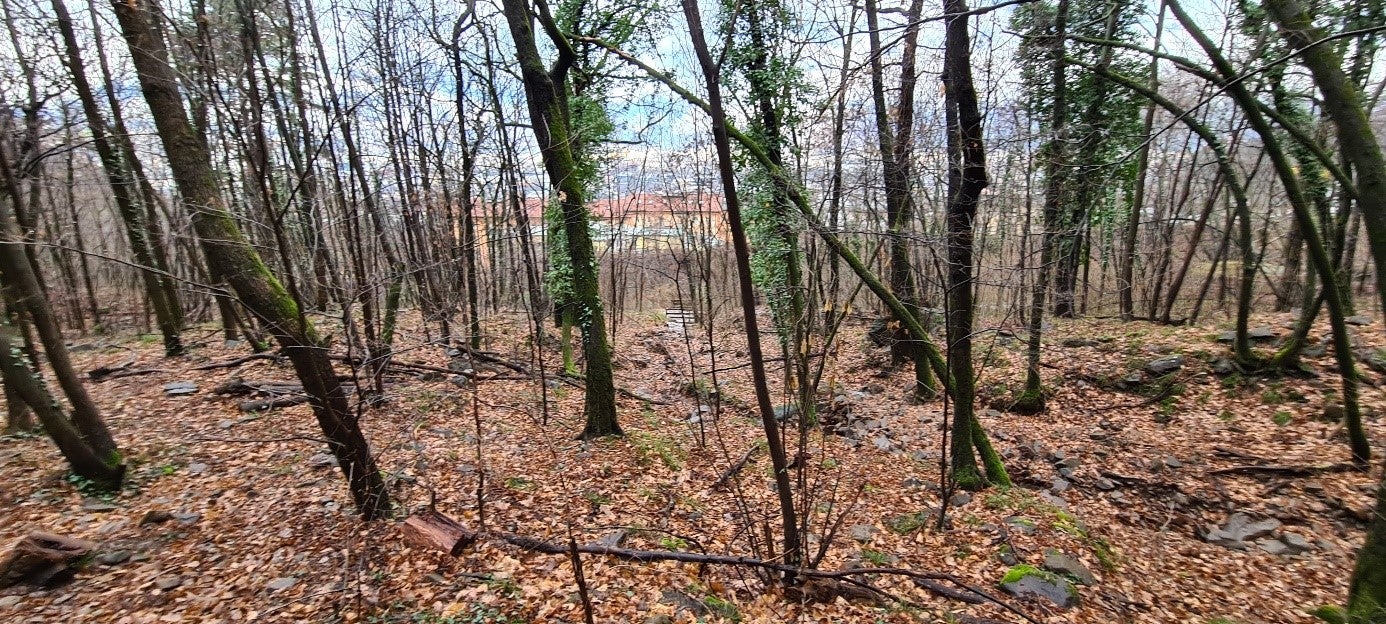 In questa zona boschiva sopra il quartiere di Aslago a Bolzano, l'Ufficio Sistemazione bacini montani sta realizzando una briglia di trattenuta per aumentare la protezione contro le piene. (Foto: USP/Ufficio Sistemazione bacini montani Sud dell'Agenzia per la Protezione civile)
