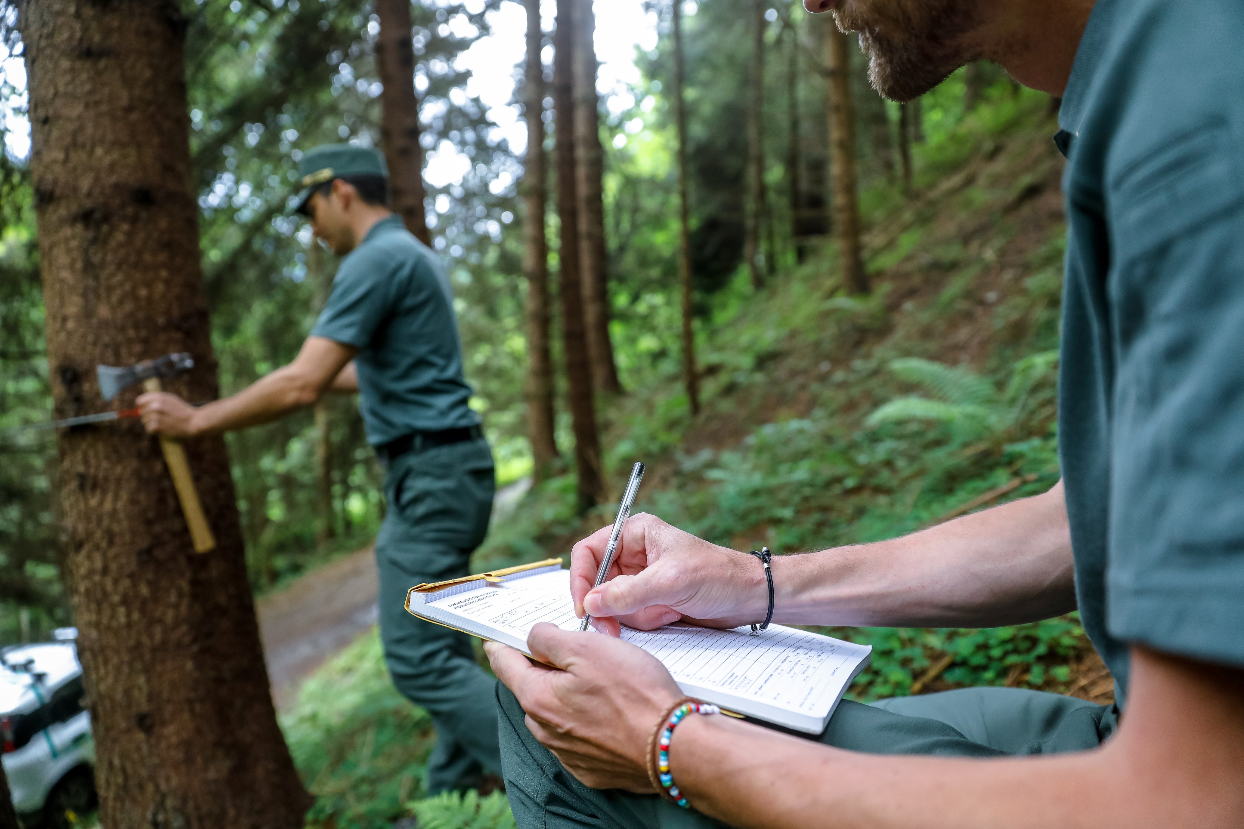 Una professione immersa nella natura e con responsabilità sui boschi dell'Alto Adige: il Corpo forestale provinciale cerca 25 nuovi sovrintendenti forestali mediante un corso-concorso. (Foto: USP/Oskar Verant)