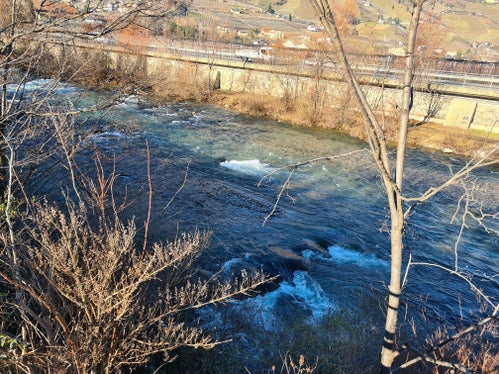 Die Mannschaft der Wildbachverbauung baut Strukturelemente aus Zyklopensteinen, sogenannte Buhnen, in das Flussbett der Falschauer in Lana ein, lagert Schotter um und errichtet ein Niedrigwassergerinne. (LPA/Landesamt für Wildbach- und Lawinenverbauung Süd)