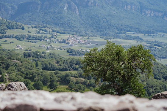 Vista del Comune di Montagna da Castelfeder (Foto: Cooperativa turistica Castelfeder/Thomas Monsorno)