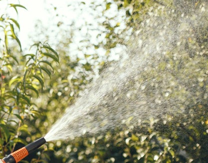 Für das Versorgungsgebiet der Beregnungsanlage Prad mit Einzugsgebiet Suldenbach und Tramentanbach ist der Wassernotstand ausgerufen. (Foto: Pexels/gustavo fring)