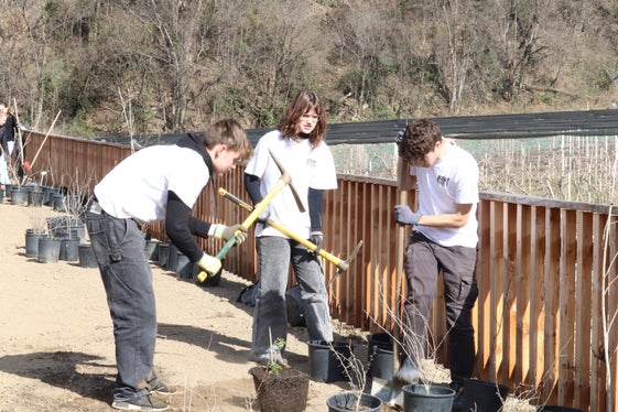 In collaborazione con la classe 4C del Realgymnasium e la Giardineria di Merano, l'Ufficio bacini montani Ovest progetta una zona ricreativa presso la diga sul rio Mut, vicino a Merano (Foto: ASP/Maja Clara)