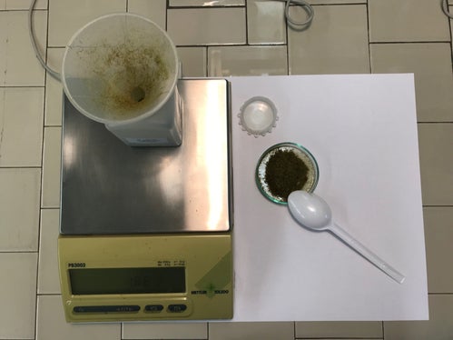 La preparazione del campione viene effettuata presso il Laboratorio biologico e consiste nel ripulire i muschi da humus, aghi di pino ed altri detriti (Foto: APPA)