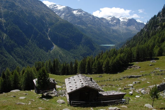 L'assessora Maria Hochgruber Kuenzer assumerà la presidenza del Comitato di coordinamento ed indirizzo del Parco nazionale dello Stelvio per i prossimi 5 anni. (Foto: PN Stelvio/Gianni Bodini) 