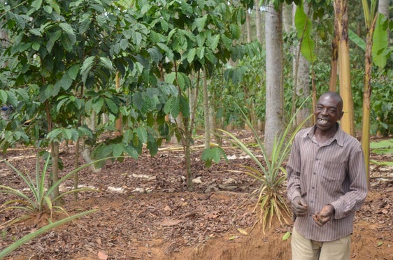 Un progetto di Kolping Alto Adige, sovvenzionato dalla Provincia, mira a sostenere i piccoli agricoltori attraverso il miglioramento della coltivazione del caffè (Foto: ASP/Ufficio Relazioni estere e volontariato) 