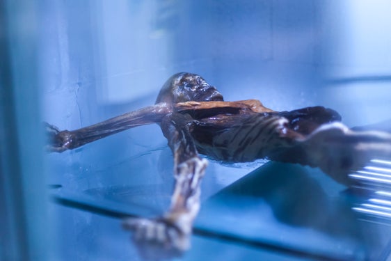 Il 19 settembre di 30 anni fa veniva scoperta la mummia del ghiacciaio Ötzi. (Foto: SAM/Luca Guadagnini)