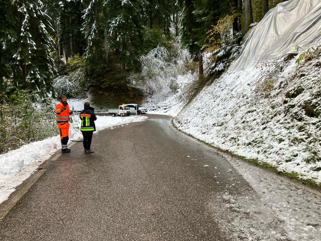 Die Niederschlagsserie dieser Woche ist vorübergezogen, der Zivilschutzstatus wurde heute wieder zurückgestuft, lokal treten noch punktuelle Ereignisse wie Rutschungen - hier in Gschnon/Montan - und Steinschläge auf, bei denen die Landesgeologen Lokalaugenscheine vornehmen und Sicherungsarbeiten durchführen. (Foto: LPA/Landesamt für Geologie und Baustoffprüfung)
