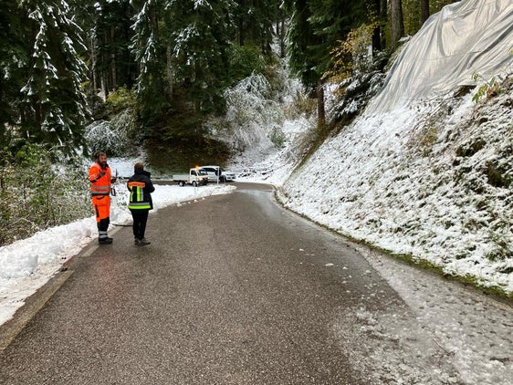 Die Niederschlagsserie dieser Woche ist vorübergezogen, der Zivilschutzstatus wurde heute wieder zurückgestuft, lokal treten noch punktuelle Ereignisse wie Rutschungen - hier in Gschnon/Montan - und Steinschläge auf, bei denen die Landesgeologen Lokalaugenscheine vornehmen und Sicherungsarbeiten durchführen. (Foto: LPA/Landesamt für Geologie und Baustoffprüfung)