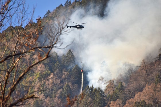Fate attenzione quando accendete i fuochi del Sacro Cuore: sebbene il rischio d'incendio sia basso, la Ripartizione Foreste consiglia di evitare zone nelle quali siano presenti alberi danneggiati dall'infestazione da bostrico. (Foto: ASP/Ripartizione Foreste)