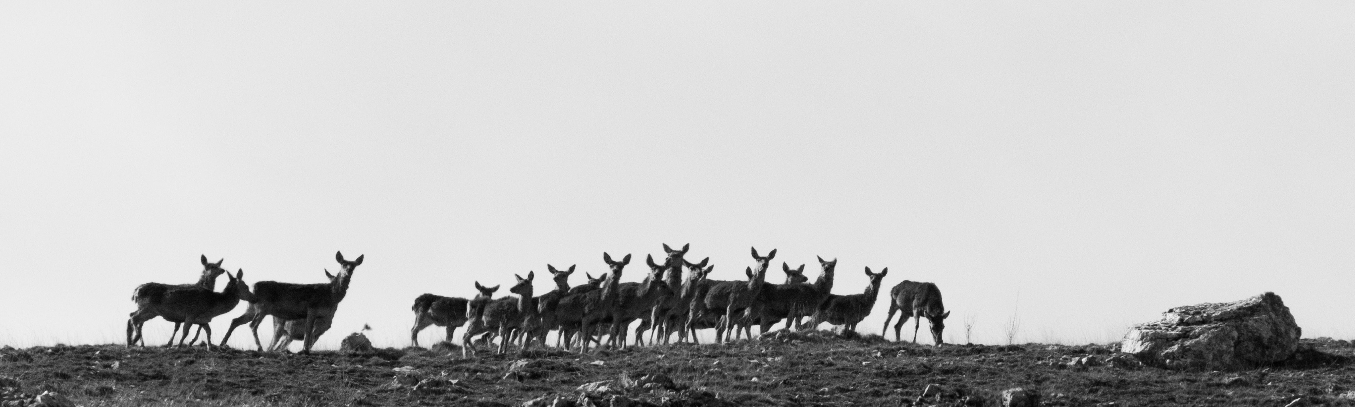 (Foto: Ismaele Tortella)