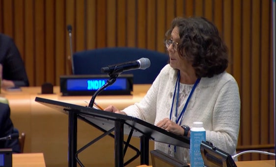 Anche la viceministra italiana degli Esteri ha citato l'Alto Adige quale esempio per la convivenza di diversi gruppi linguistici e la risoluzione dei conflitti internazionali (Foto: UN Web TV)