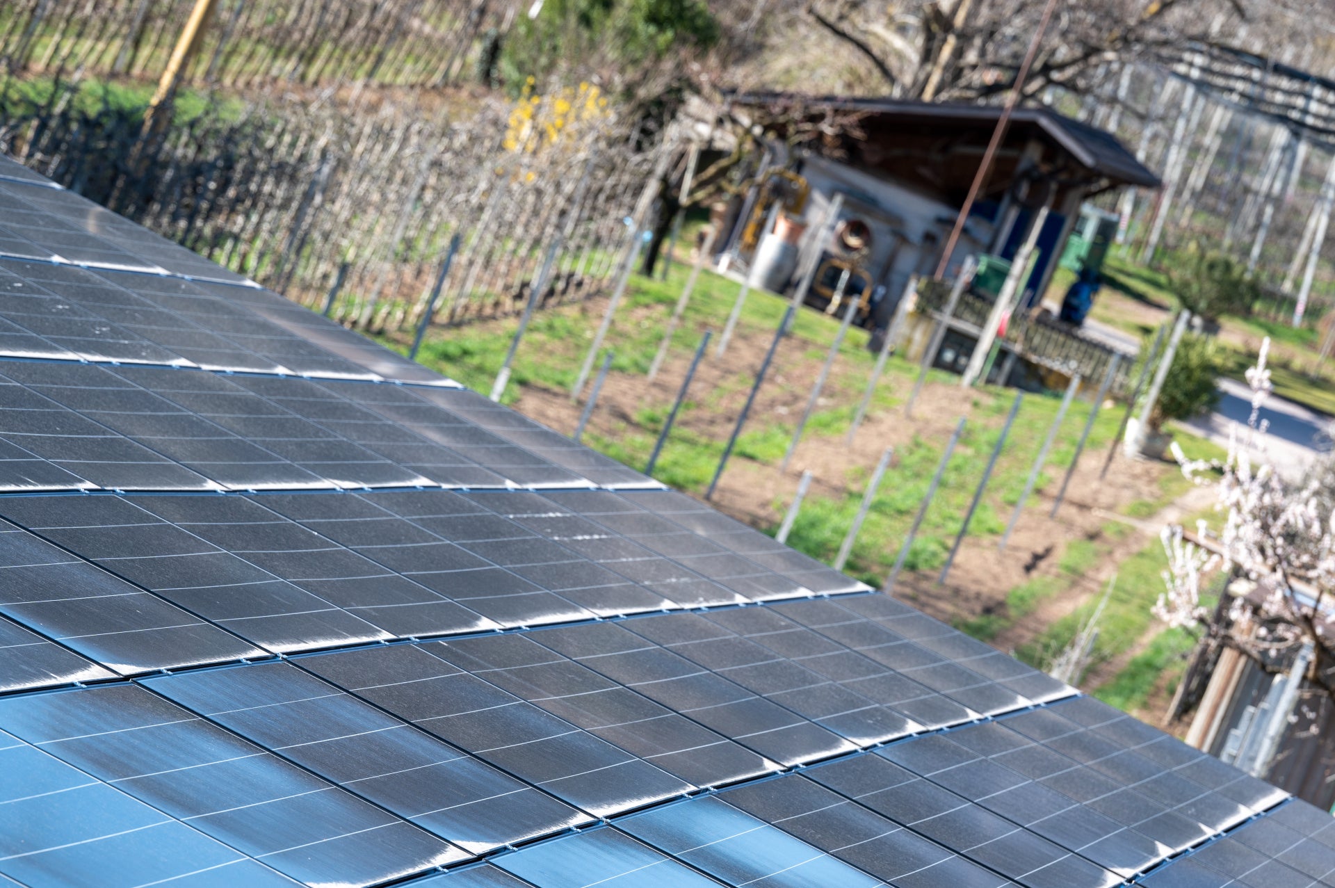 Der 6. Euregio-Innnovationspreis stellt das Thema Energiewende und Versorgungssicherheit in den Mittelpunkt: Bewerbungen sind bis 7. Juni möglich. (Foto: LPA/Manuela Tessaro)