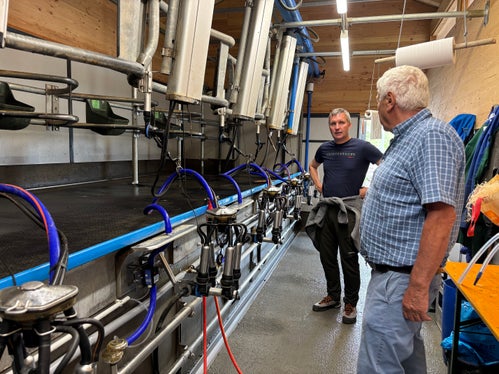 Weidemelkstand (von links): Landesrat Luis Walcher und Almmeister Albert Hutter (Foto: LPA/Ressort Landwirtschaft, Forstwirtschaft und Tourismus)