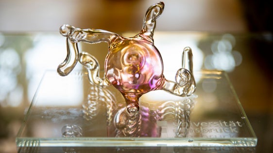 Die Sporen der neu entdeckten Pilzart namens Tyroliella als Glaskunstwerk (Foto: LPA/Fabio Brucculeri)