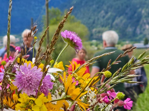 Das Wiesenwassern hat auch eine große Bedeutung für den Erhalt der artenreichen Wiesen. (Foto: Heimatpflegeverband Südtirol)