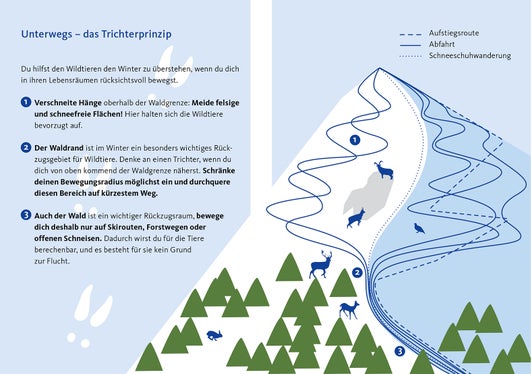 Sich im Lebensraum der Wildtiere rücksichtsvoll bewegen und diese Bereiche auf kürzestem Weg durchqueren: Das sieht das Trichterprinzip vor. (Foto: LPA)