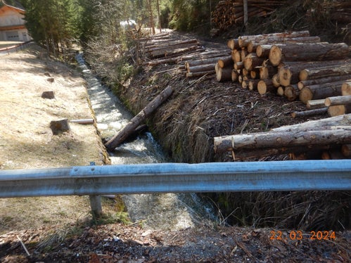 Negativbeispiel: Denn innerhalb des Bannstreifens gilt ein Mindestabstand bei Pflanzungen von vier Metern und bei Ablagerungen von fünf Metern. (Foto: LPA/Landesamt für Öffentliches Wassergut in der Agentur für Bevölkerungsschutz)