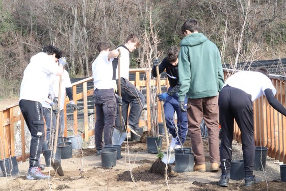In collaborazione con la classe 4C del Realgymnasium e la Giardineria di Merano, l'Ufficio bacini montani Ovest progetta una zona ricreativa presso la diga sul rio Mut, vicino a Merano (Foto: ASP/Maja Clara)