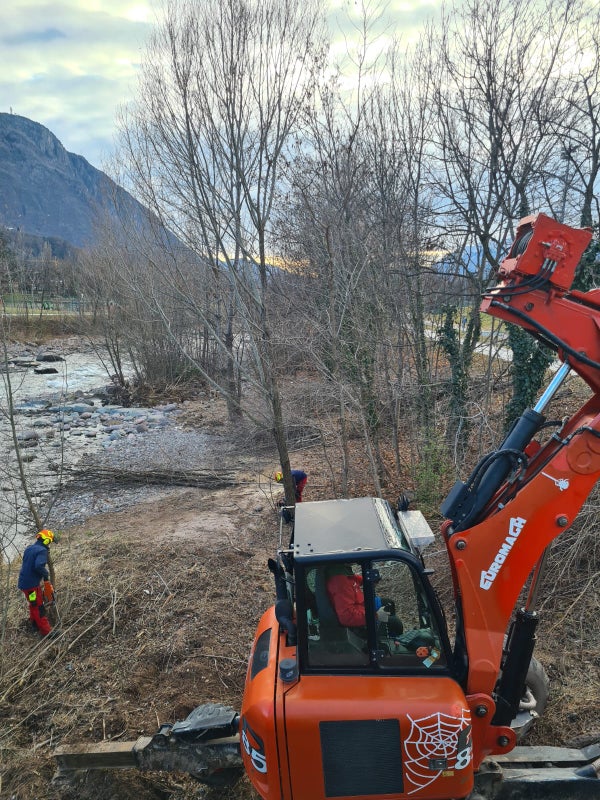 Uferpflege an der Talfer in Bozen für besseren Hochwasserschutz Alle