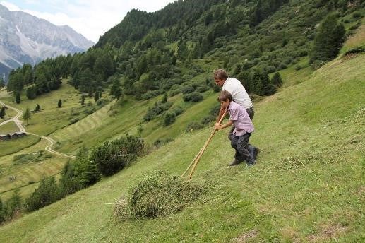 Bei den Vorschlägen zur Gemeinsamen Agrarpolitik (GAP) müsse Südtirol mitreden, damit die regionalen Bedürfnisse und Herausforderungen berücksichtigt werden, unterstrich Schuler in Rom. (Foto:  Südtiroler Bauernbund)