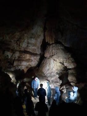 Auf den Spuren des Höhlenbären unterwegs: Die Fortbildung in der Conturineshöhle bot Raum für Austausch und neue Ideen. (Foto: LPA/Landesamt für Natur)