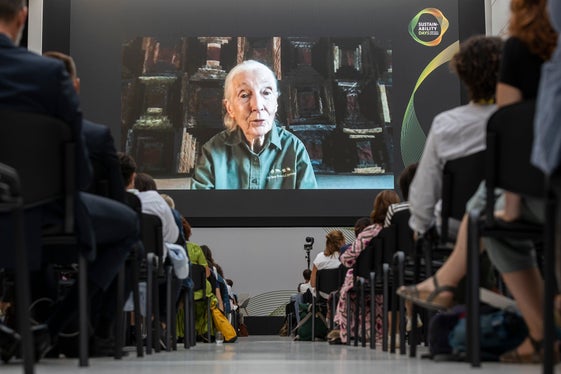 L'intervento di Jane Goodall, collegata telematicamente (Foto: ASP/Tiberio Sorvillo) 