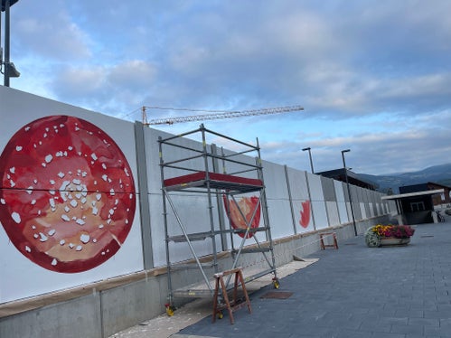 Presso il Centro mobilità di Bressanone, in questi giorni, l'artista bolzanino Egeon sta decorando la barriera antirumore con 19 funghi giganti (Foto: ASP/Matteo Picelli)