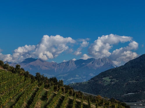 Bild des Monats Oktober 2025: Der Ifinger von Naturns aus (Foto: LPA/Martin Geier)