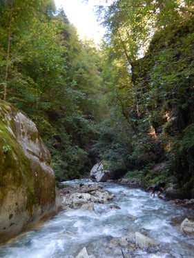 Auch für die Gaulschlucht in den Gemeinden Lana und St. Pankraz wurden die spezifischen Erhaltungsziele und -maßnahmen für Lebensräume und Arten festgelegt und die Umwandlung in Besonderes Schutzgebiet genehmigt. (Foto: Landesamt für Natur/Georg Praxmarer)